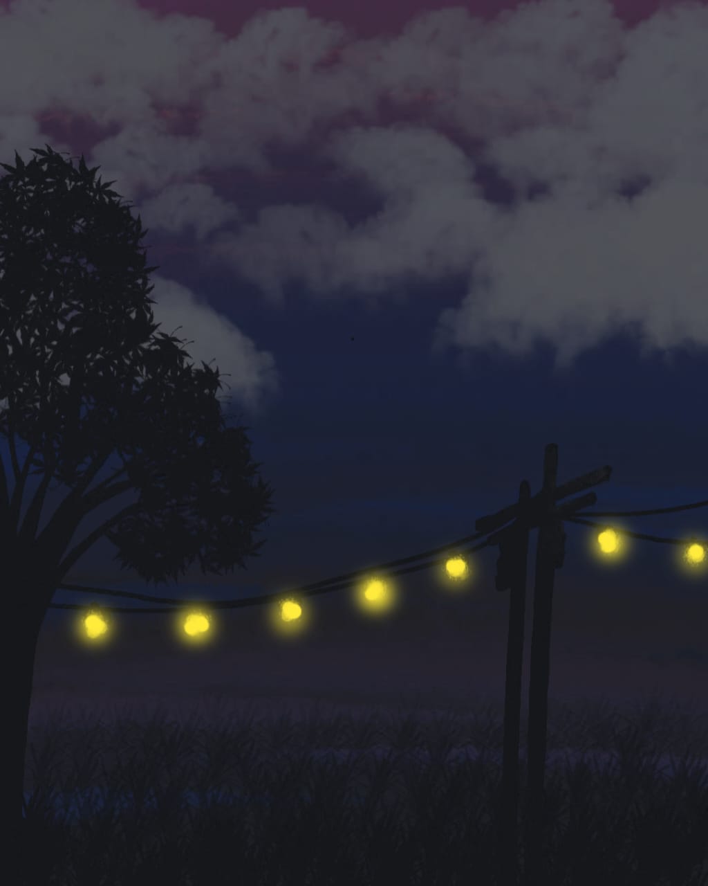 Cloudy night
